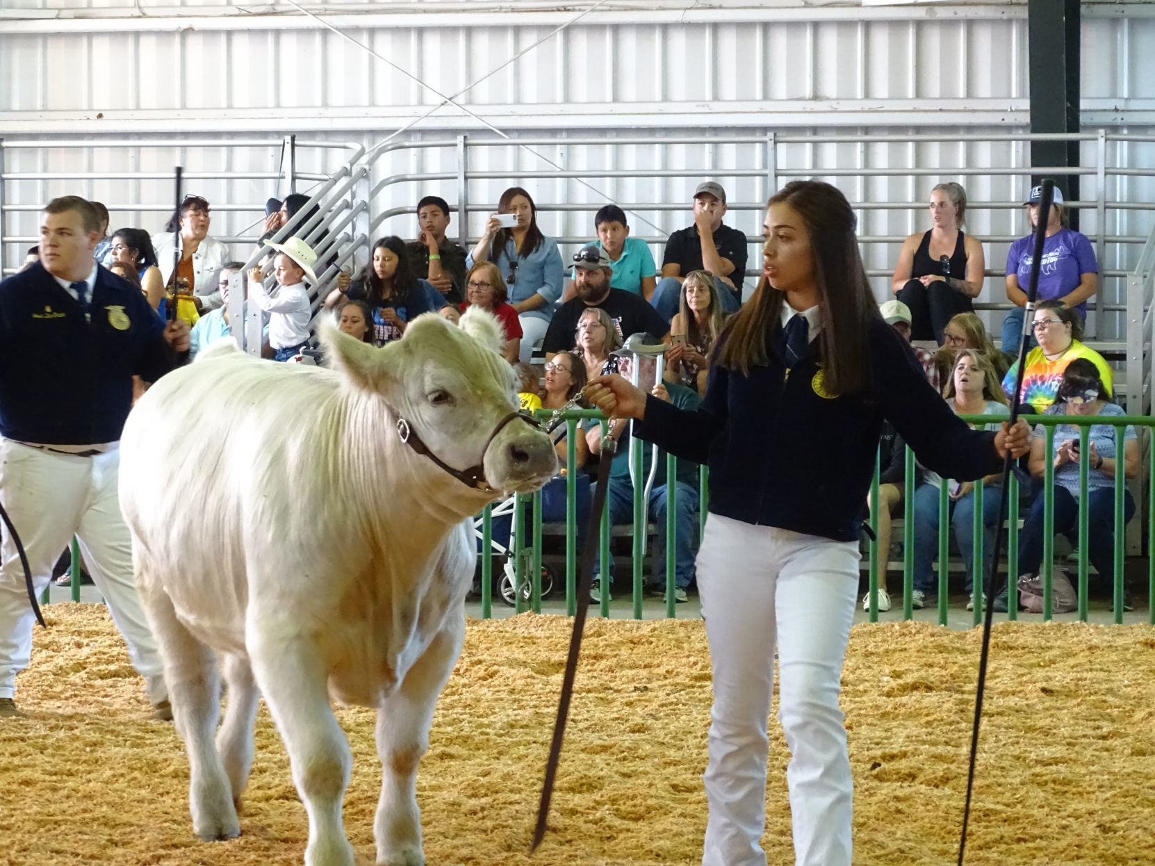 Napa Town & Country Fair 2019